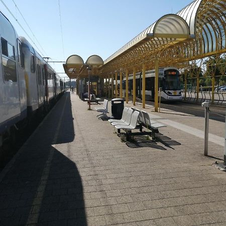 Vakantie Aan Zee دي بان المظهر الخارجي الصورة